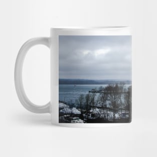 Damp East Burlington Bay overlook Mug